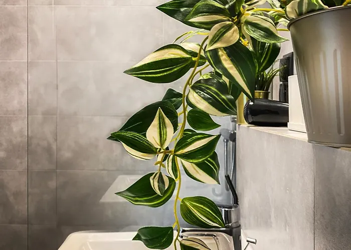 Cozy With Ac For Couples - Old Town Apartamento Cracovia